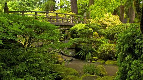 Portland Japanese Garden in Portland, Oregon | Expedia