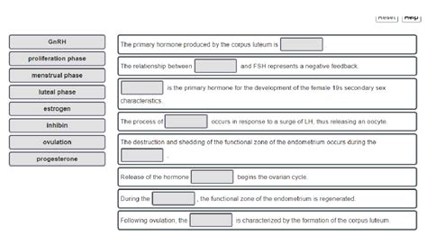 Solved GnRH proliferation phase menstrual phase luteal phase | Chegg.com