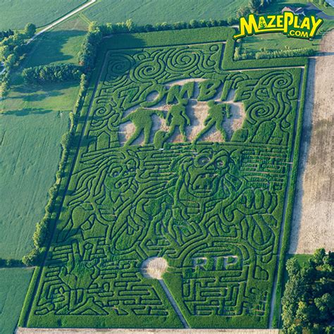 Corn Maze Design Arch