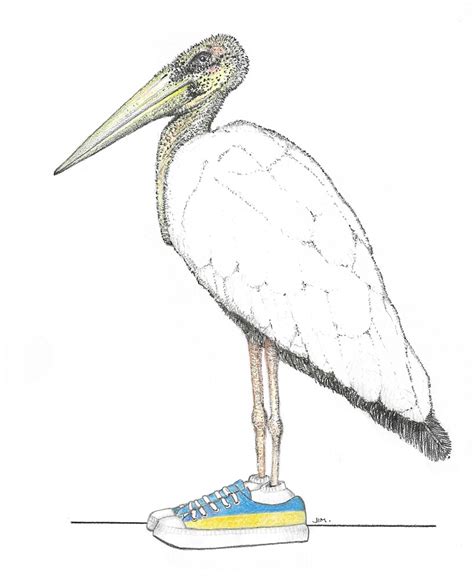 "White Stork in Ukrainian Sneakers " by JimsBirds | Redbubble