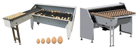 Chicken Egg Grading Machine and Egg Grading Equipment Supplier