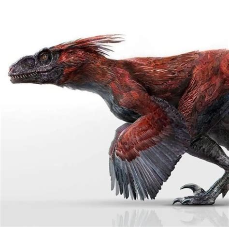 Jurassic Fan on Instagram: “What do you think about Pyroraptor design? ==== #jurassicworlddomi ...