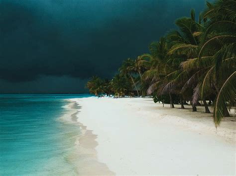 Download Storm Cloud Palm Tree Tropical Earth Photography Beach HD ...