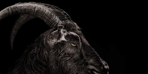 Black Phillip Was A Real-Life Nightmare For The Witch Director