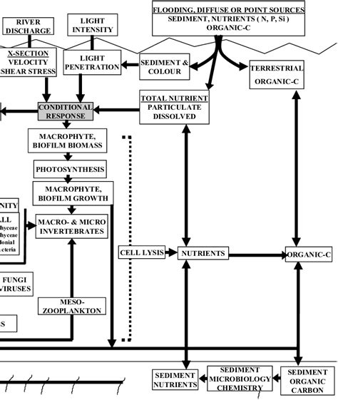 PHOTOSYNTHESIS PHYTOPLANKTON GROWTH | Download Scientific Diagram