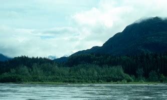 Tlikakila River | ALASKA.ORG