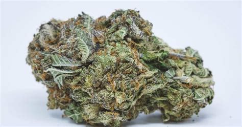 Purple Haze Strain Online: Its Appearance And Effects!