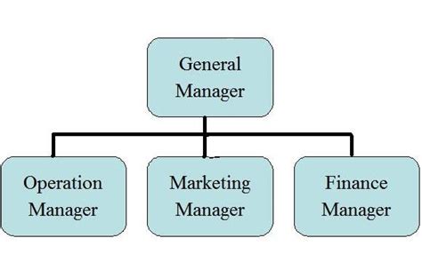 MODERNISH CAFE: BUSINESS PLAN ( Organization Chart)