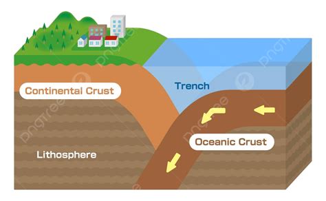 Illustrated Vector Of The Mechanics Behind Trench Earthquake Formation ...
