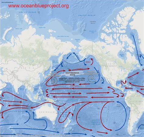 Ocean Currents Map • Environmental Nonprofit Organization