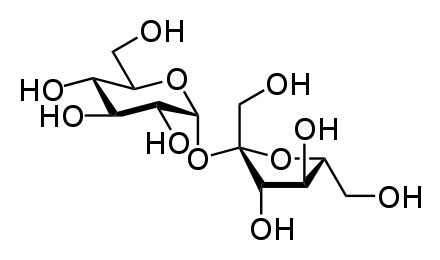 Sucrose Definition, Formula & Function - Lesson | Study.com