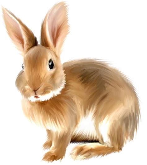 Painted bunny clipart clipart bunnies - Clipartix