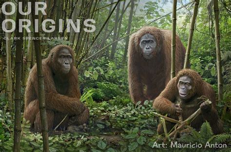 As you see in this picture, Gigantopithecus may have lived during the ...