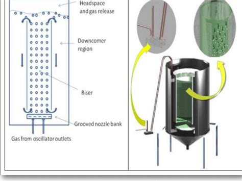 Airlift bioreactor ppt