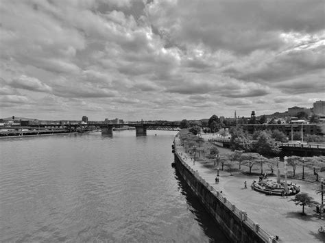 Waterfront Park Portland Oregon Photograph by Charles Lucas | Fine Art ...