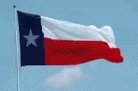 Texas Texas Flag GIF - Texas Texas Flag Flag - Discover & Share GIFs