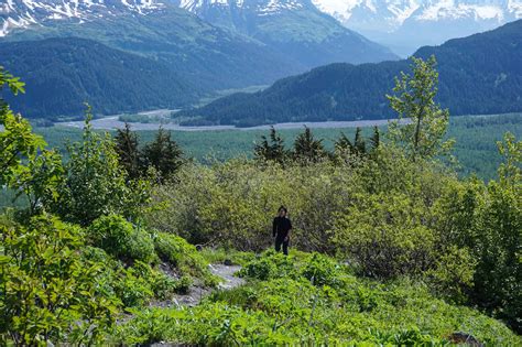 Harding Icefield Hike | Exit Glacier Guides