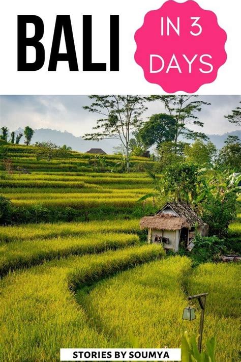 A Fabulous 3-Day Bali Itinerary - Stories by Soumya