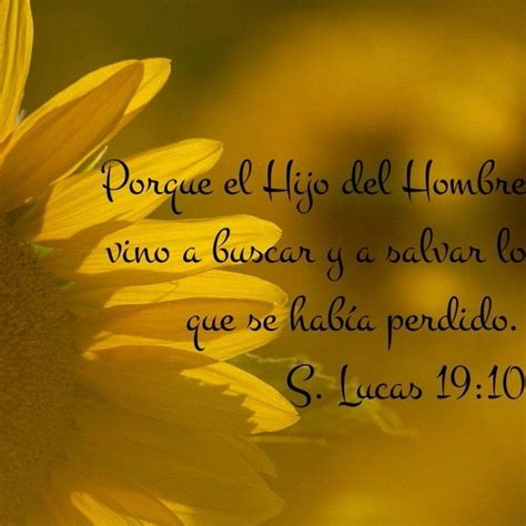 Lucas 19:10 | Versículos de la biblia, Evangelio segun san lucas, Oraciones poderosas