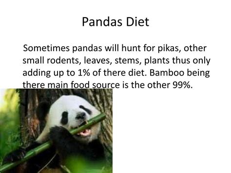 PPT - Pandas PowerPoint Presentation, free download - ID:1929099