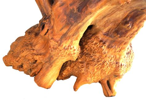 Freeform Sculptural Organic Natural Tree Root Wood Pedestal Plant Stand Table For Sale at ...