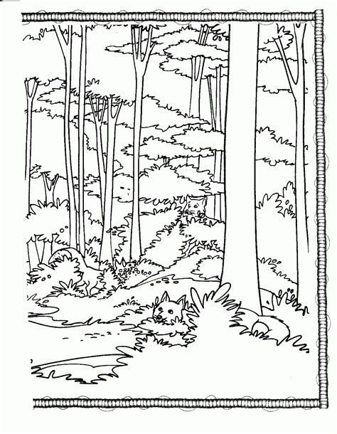 Get in Touch with Nature with Printable Forest Coloring Pages