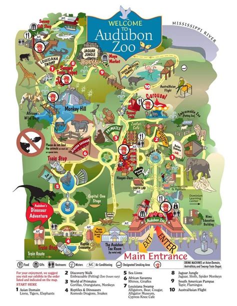 Map of the Audubon Zoo in New Orleans Infographic | Zoo, Planet