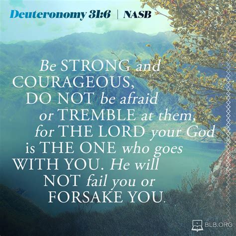 Deuteronomy 31:6 (NASB) - Scripture Image