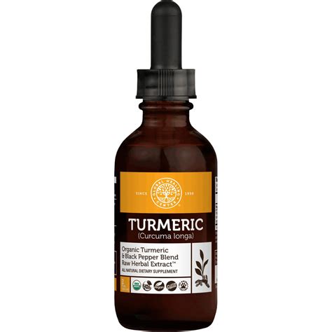 Turmeric Supplement 59.2ml – Alkaline Health
