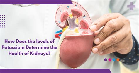 How does the levels of potassium determine the health of kidneys?