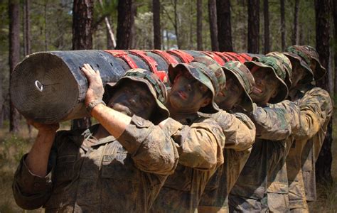 Free Images : work, group, people, military, soldier, army, training, communication, exercise ...