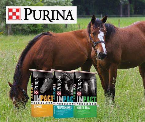 April Specials on Purina Horse Feed :: Southside Feed & Supply