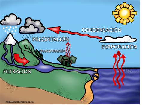 Fabuloso cuadernillo interactivo del ciclo del agua | Material Educativo