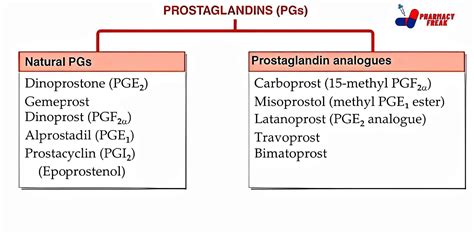 CLASSIFICATION OF PROSTAGLANDINS - Pharmacy Freak