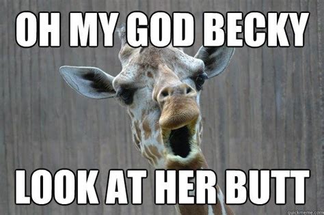 12 Funny Giraffe Memes That Will Make Your Day | Funny giraffe, Giraffe ...