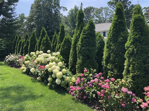 Green Jay Landscape Design | Rye, NY | Ecological Landscaping