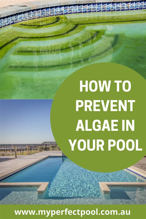 How To Fix a Green Pool - Prevent Algae | Swimming pool maintenance, Pool algae, Pool