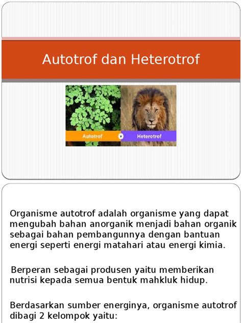 Autotrof Dan Heterotrof | PDF