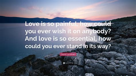 David Levithan Quote: “Love is so painful, how could you ever wish it on anybody? And love is so ...