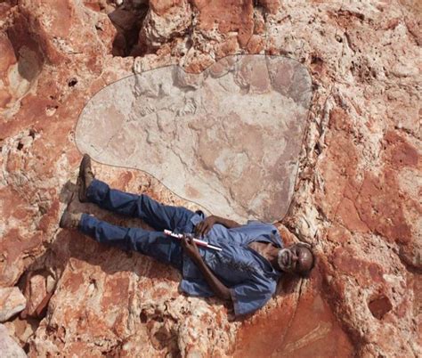 On This Day in 2017: Discovery Of World's Largest Dinosaur Footprint ...