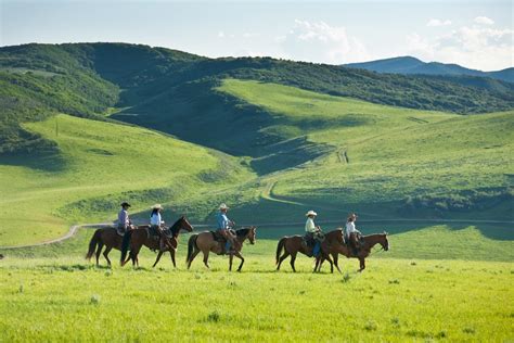 Saddleback Ranch is a real 4th Generation working cattle ranch located in Northern Colorado ...