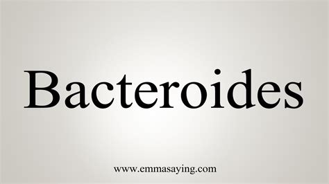 How To Say Bacteroides - YouTube