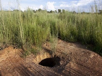 More than 70 die in artisanal gold mine collapse in Mali - www ...