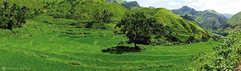 Rice terraces ‘rediscovered’ in Antique | Inquirer News