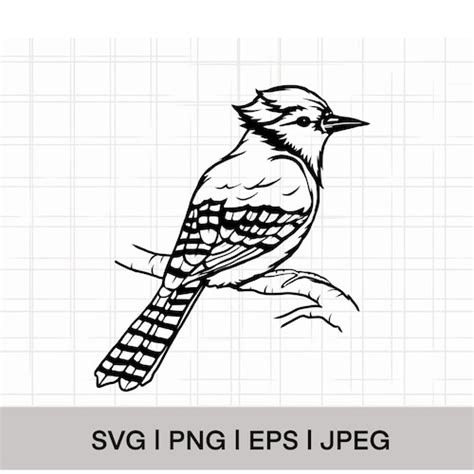 Blue Jay Bird SVG PNG EPS Instant Download Digital - Etsy