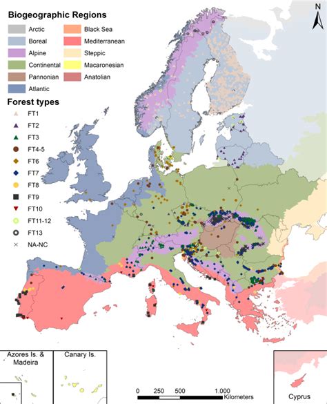 Primary forests in Europe, seriously? - Resilience Blog