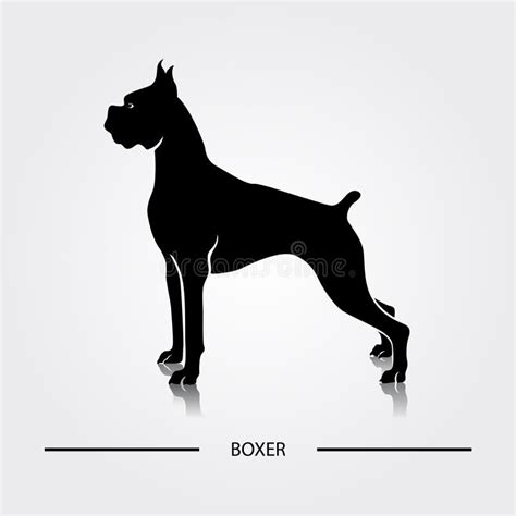 Boxer stock vector. Illustration of strong, animal, breed - 34466247