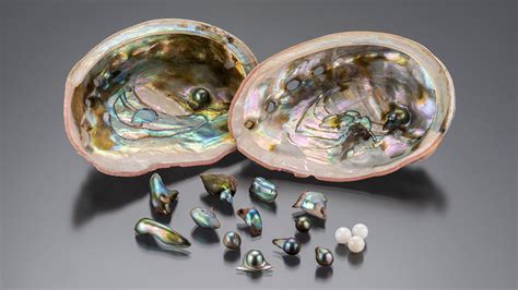 Abalone Pearl