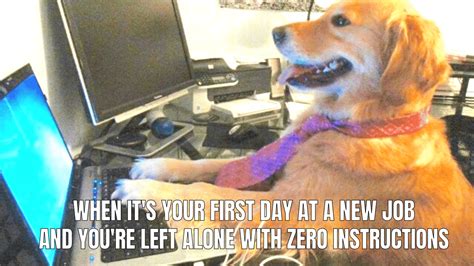 6 First Day of Work Memes That Perfectly Sum Up What It's Like