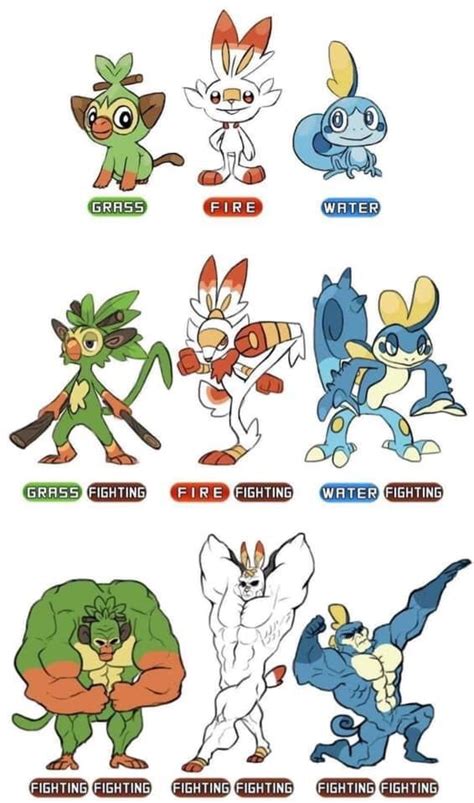 More fighting starters (With images) | Pokemon funny, Pokemon memes, Pokemon